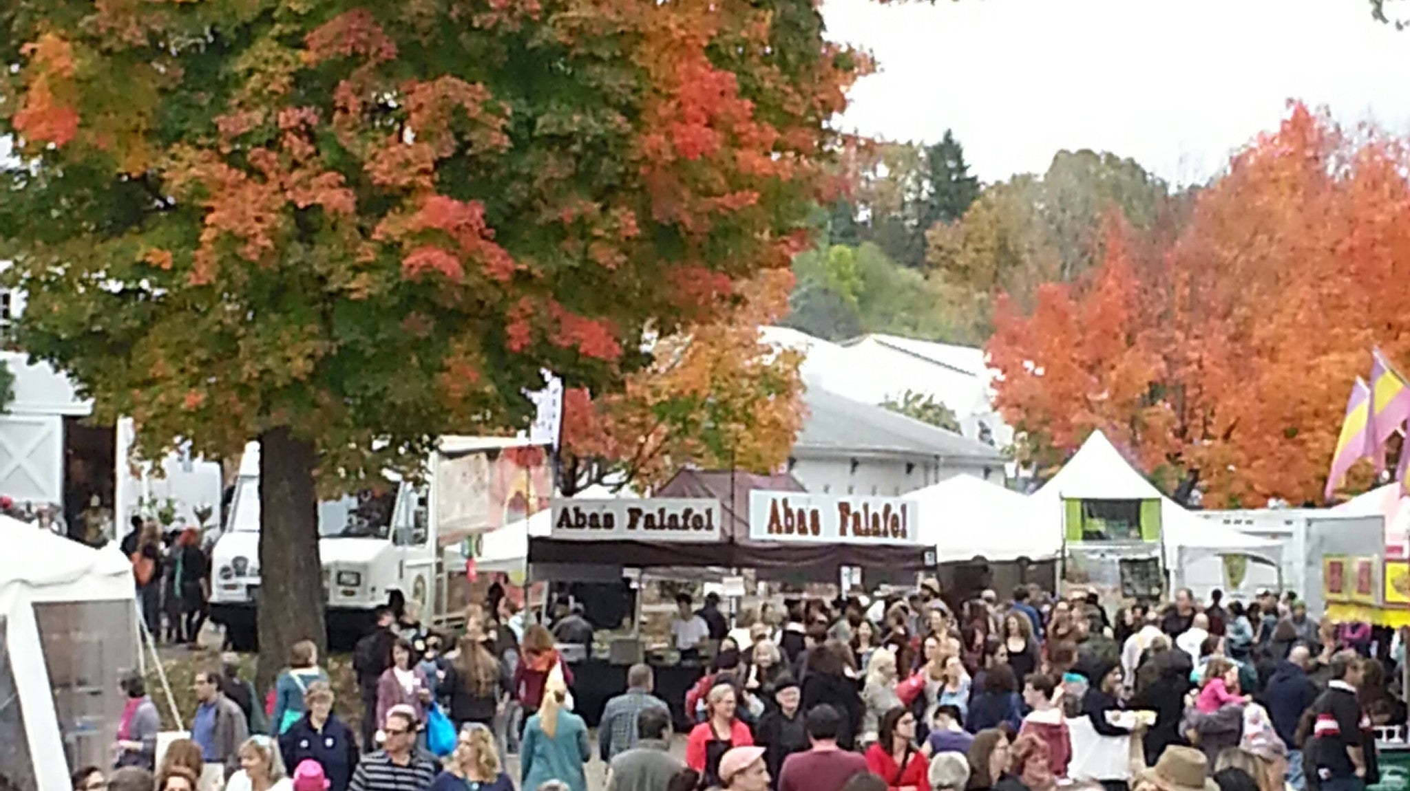 Who wants to go to Rhinebeck?!