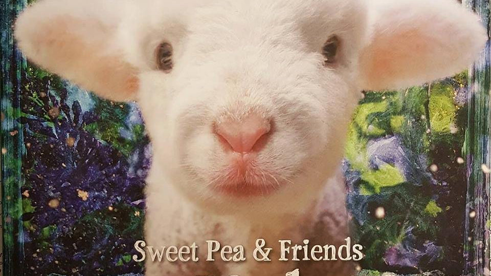 Book Signing: Sweet Pea & Friends